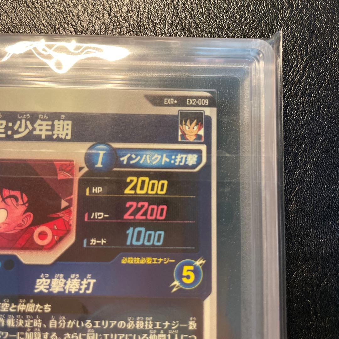 ex2-009 孫悟空少年期 パラレル ars10