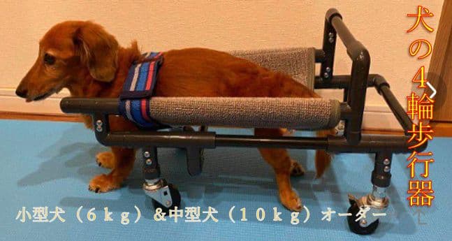 犬の四輪歩行器(小型犬シートタイプ)