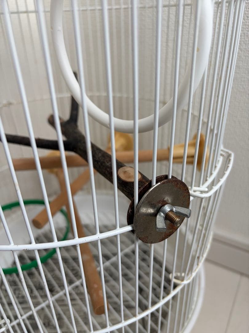 鳥かご　バードゲージ　セット