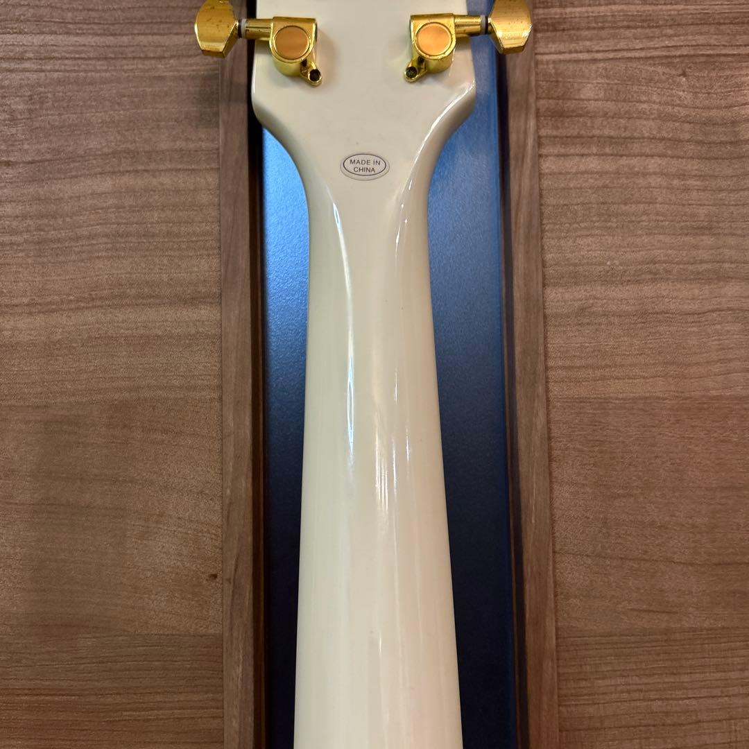 フォトジェニック　Les Paul Custom Model