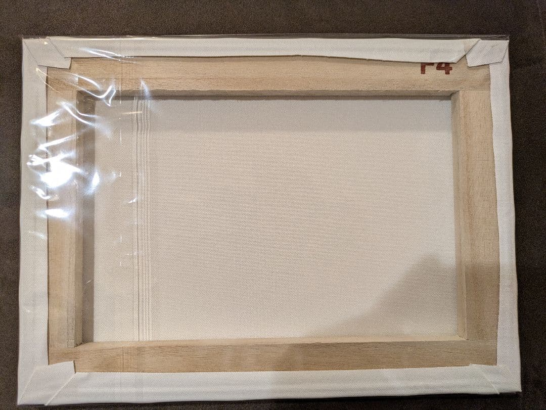 ポケットモンスター キャンバスボード