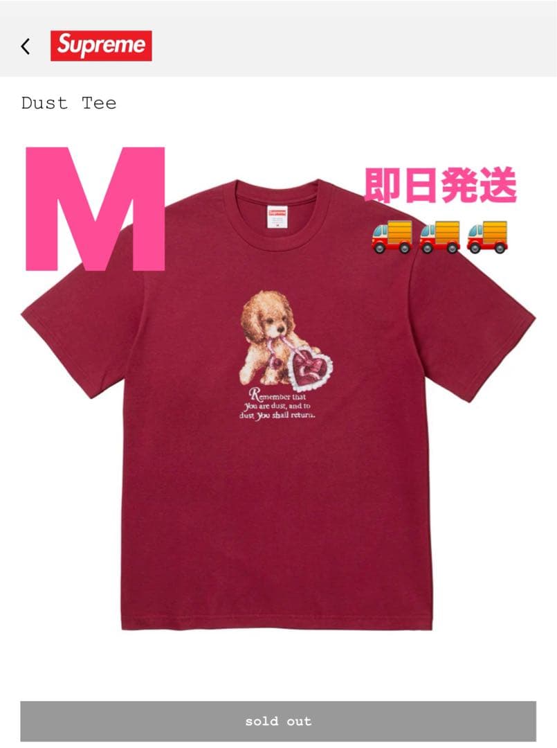 Supreme Dust Tee M バーガンディ