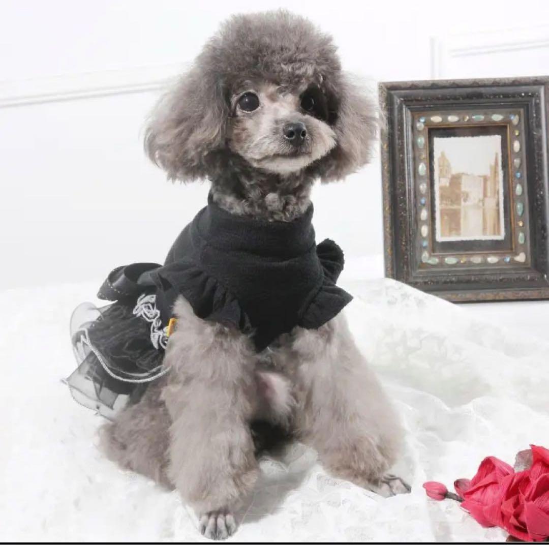 【訳あり】ペット用 ドレス XLサイズ ブラック チュール チュチュ フリル