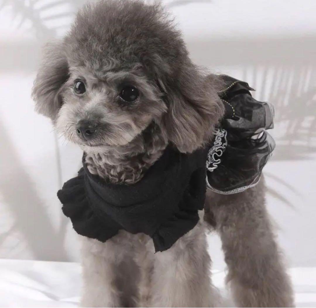 【訳あり】ペット用 ドレス XLサイズ ブラック チュール チュチュ フリル