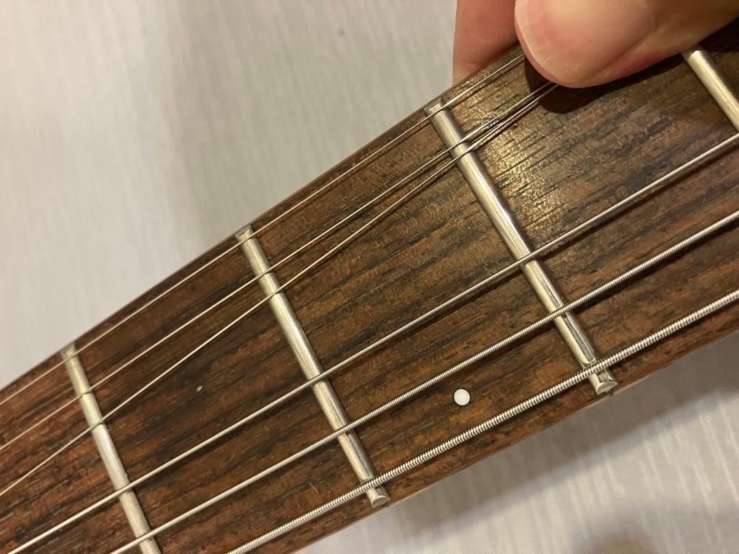 FERNANDES RE-95G CRAZE 瀧川一郎モデル