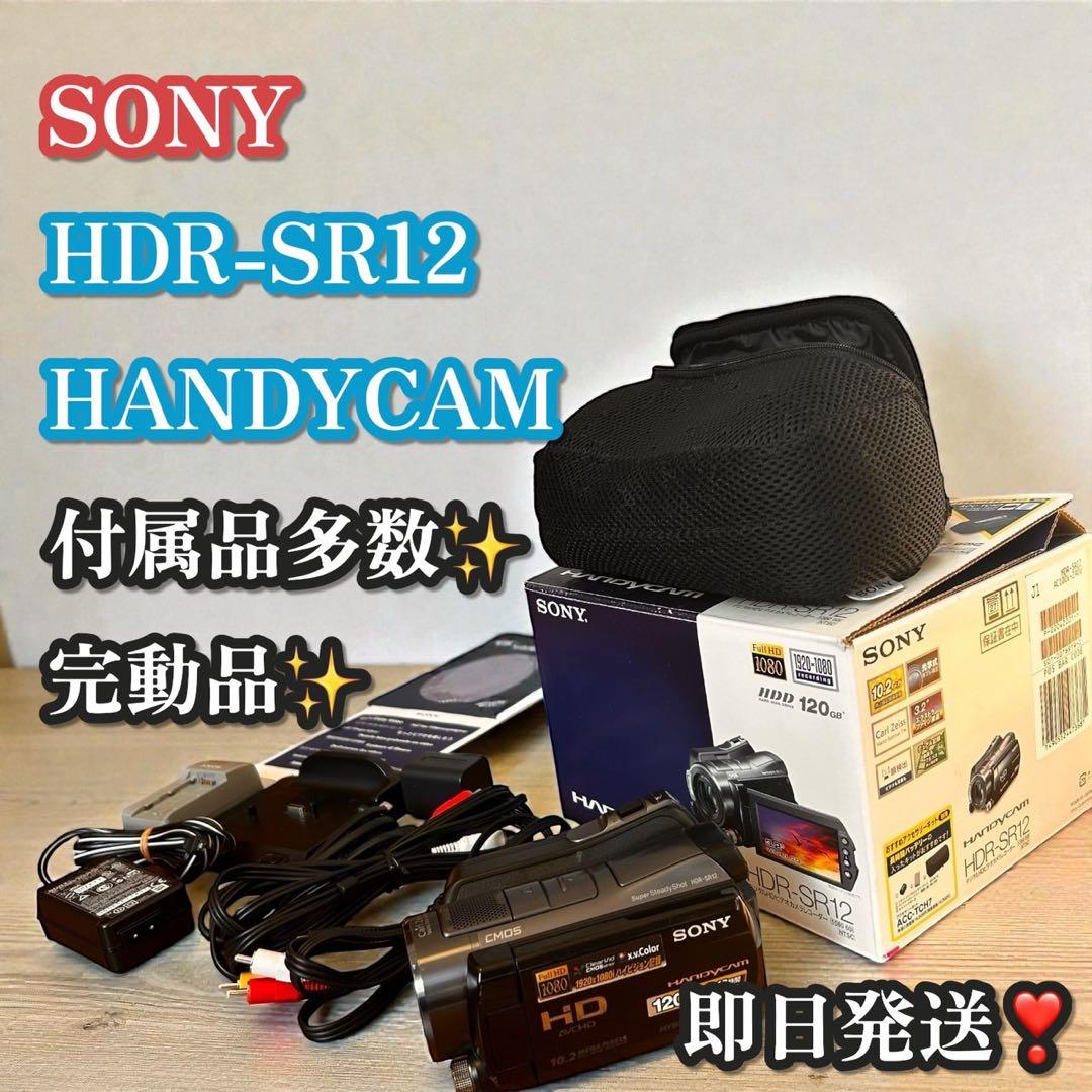 完動品✨付属品多数✨SONY HDR-SR12 HANDYCAM ビデオカメラ