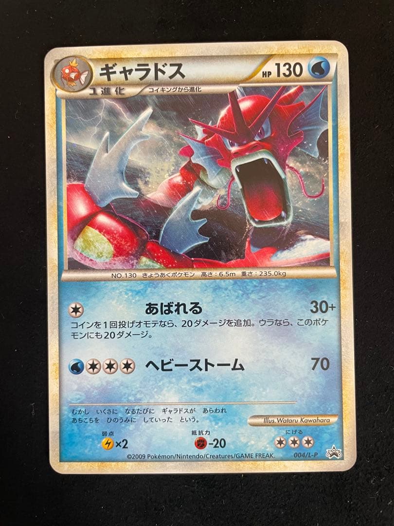 ギャラドス　赤い　色違い　2009 2枚セット