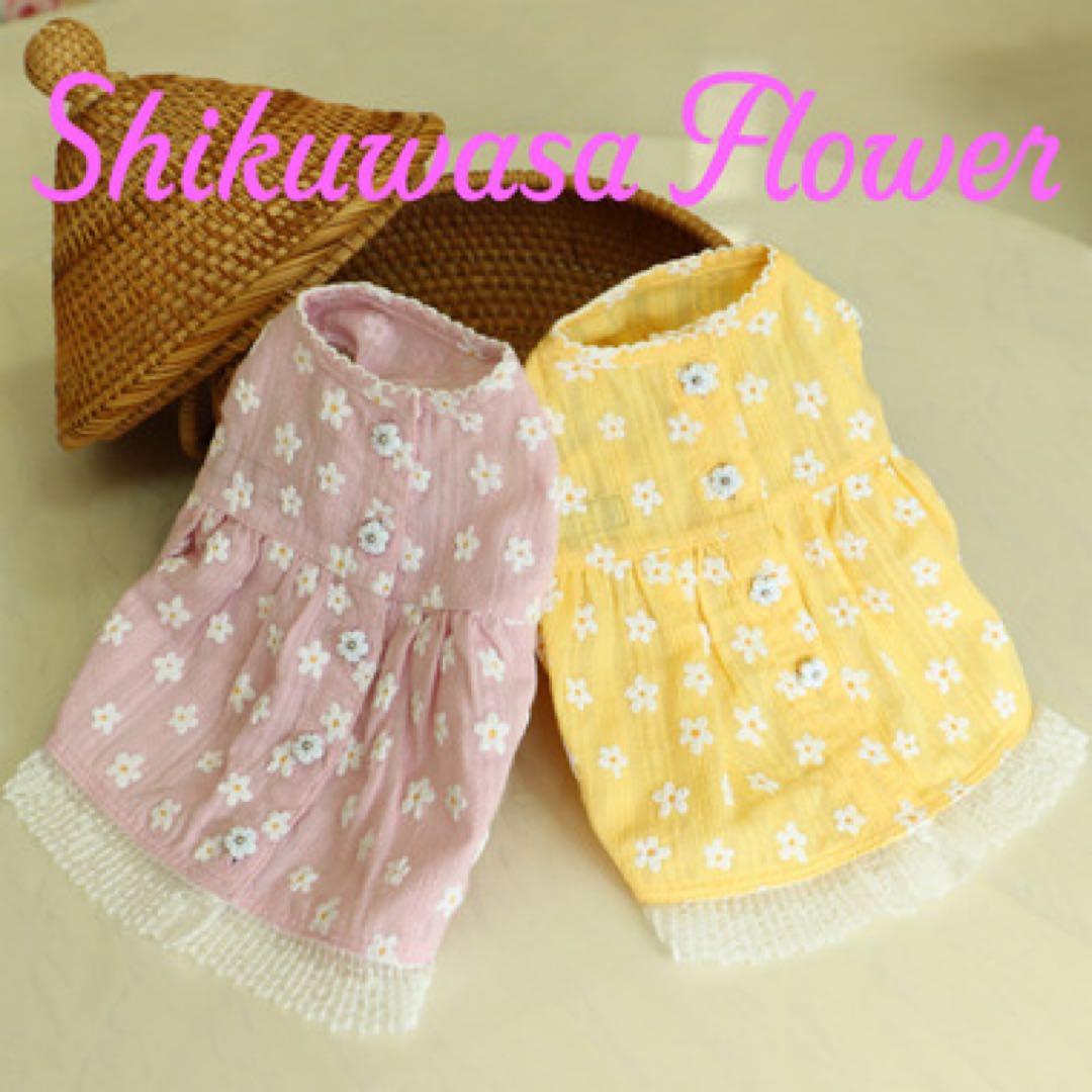 アトリエgg シークワーサーの花(ワンピース) ピンク　0サイズ