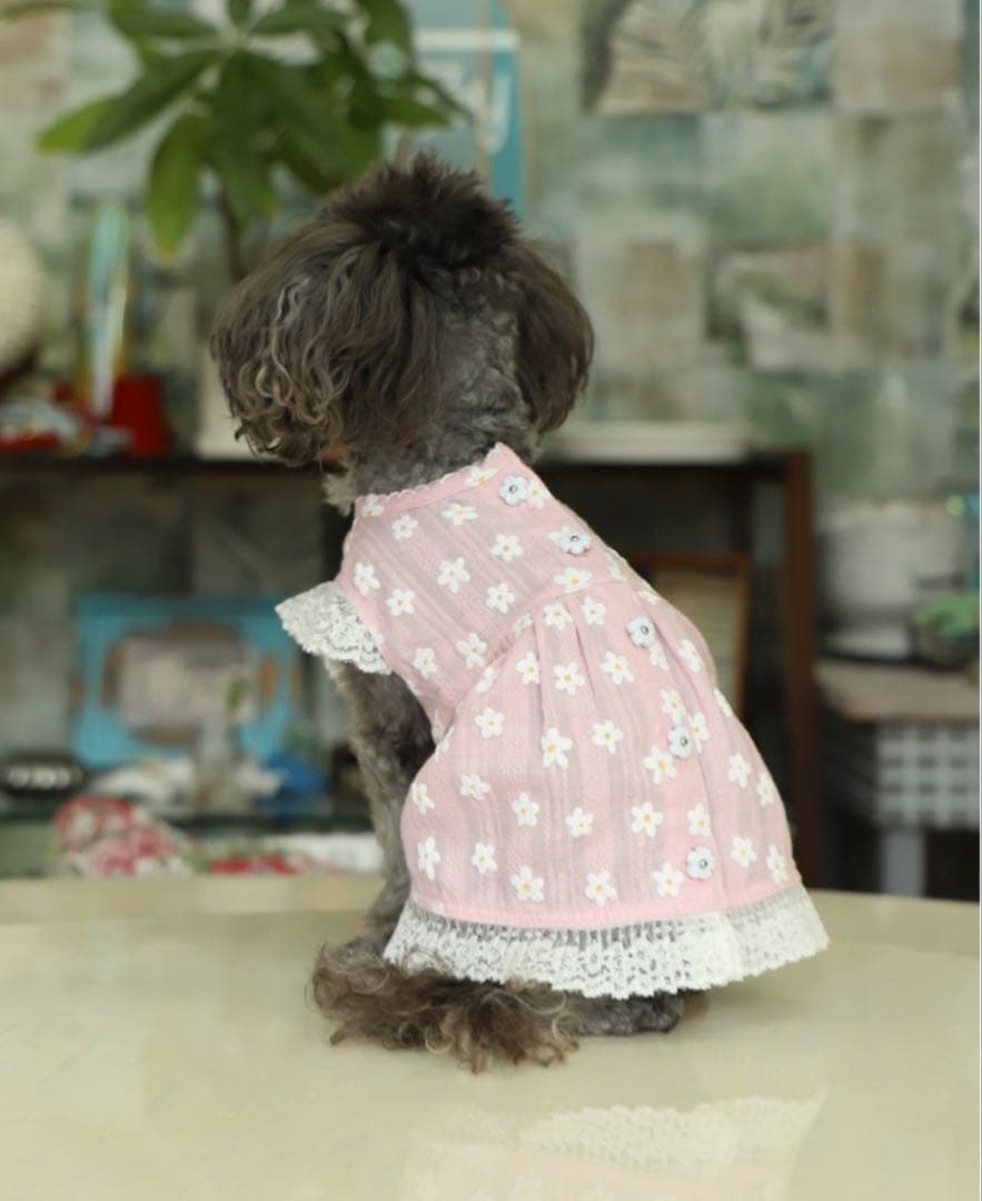 アトリエgg シークワーサーの花(ワンピース) ピンク　0サイズ