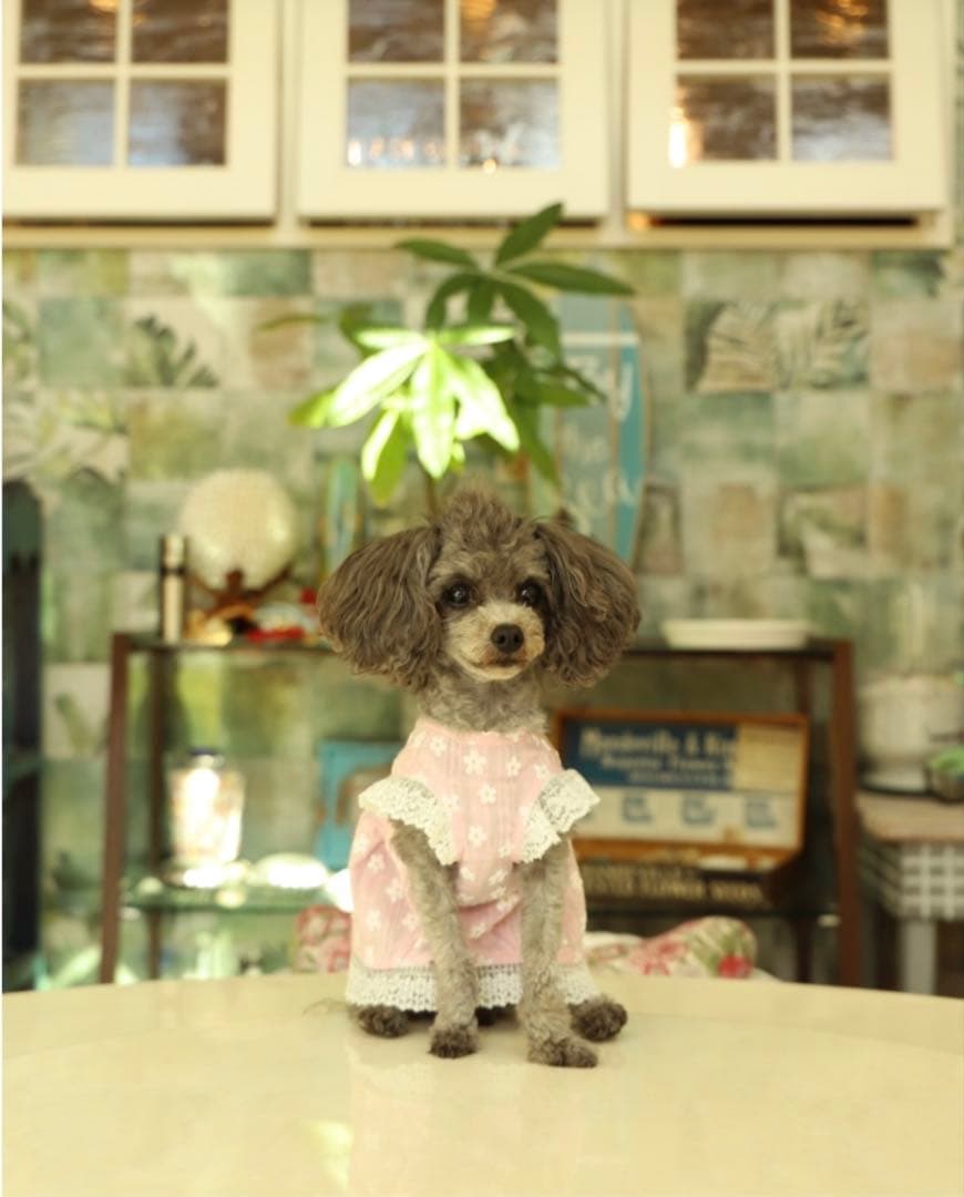 アトリエgg シークワーサーの花(ワンピース) ピンク　0サイズ