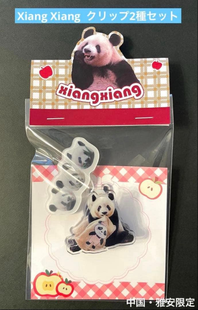 専用　　シャンシャン