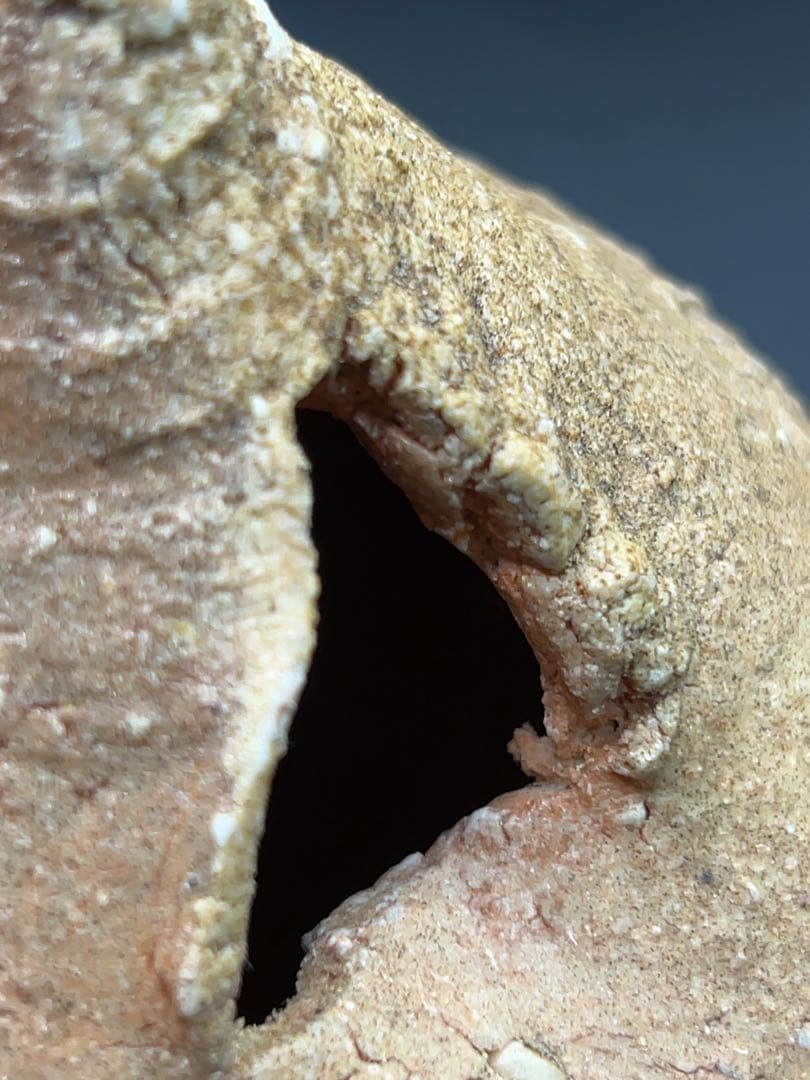 杉本貞光（造）信楽 宝珠形花入