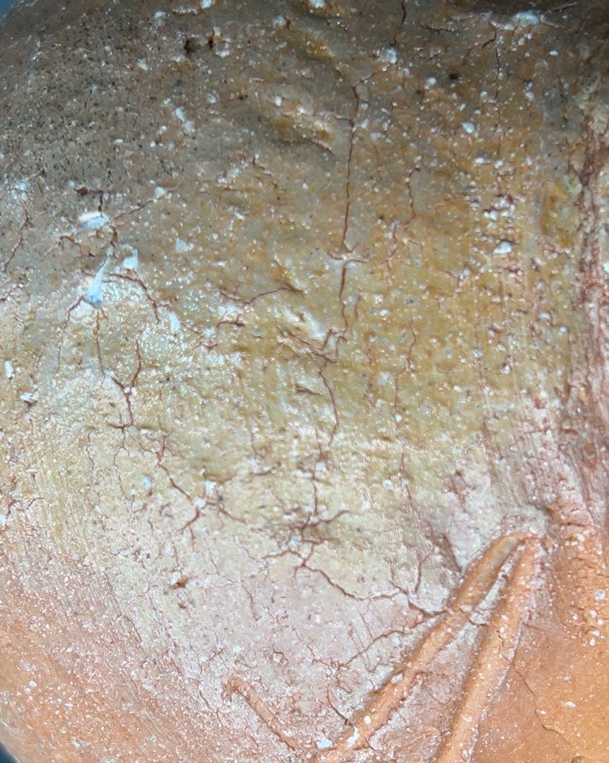 杉本貞光（造）信楽 宝珠形花入