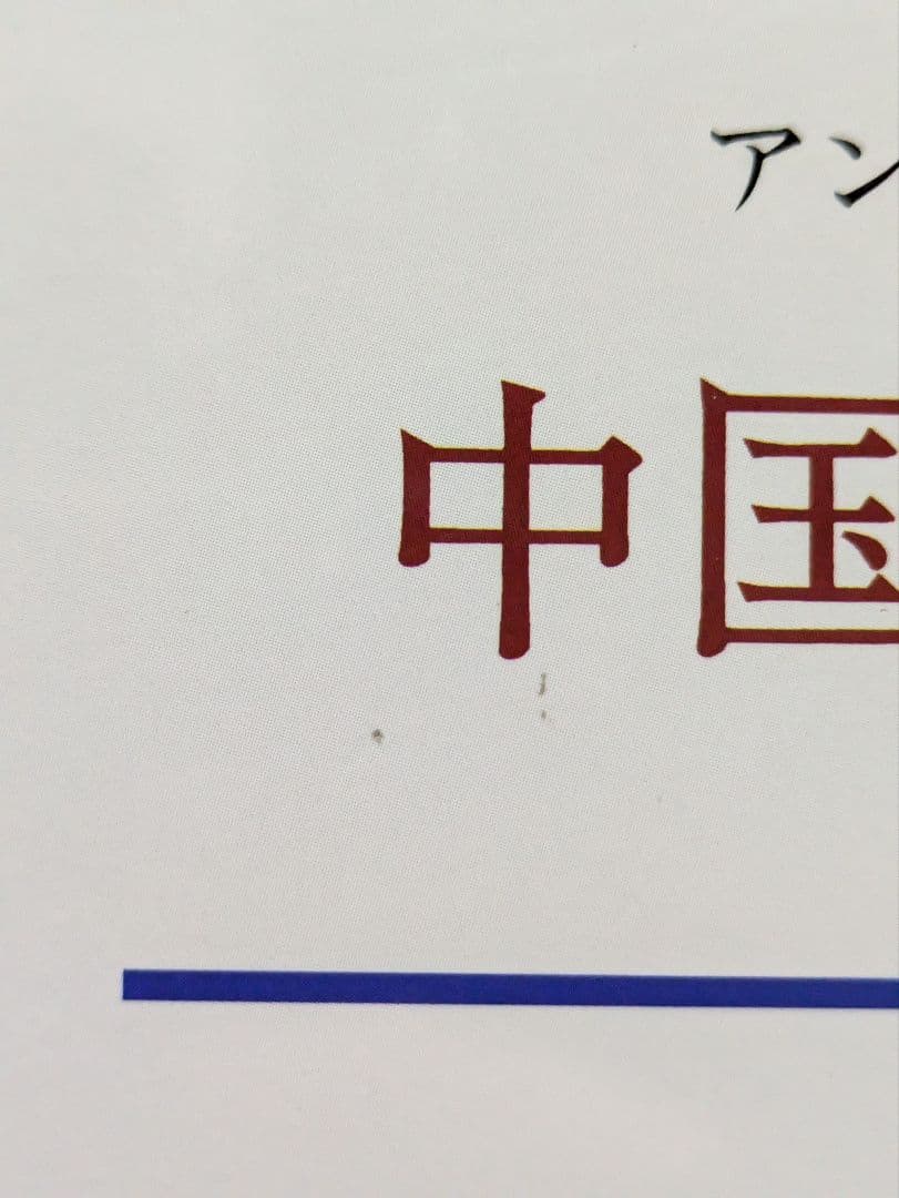 【入手困難】アンヌ・チャン　中国思想史