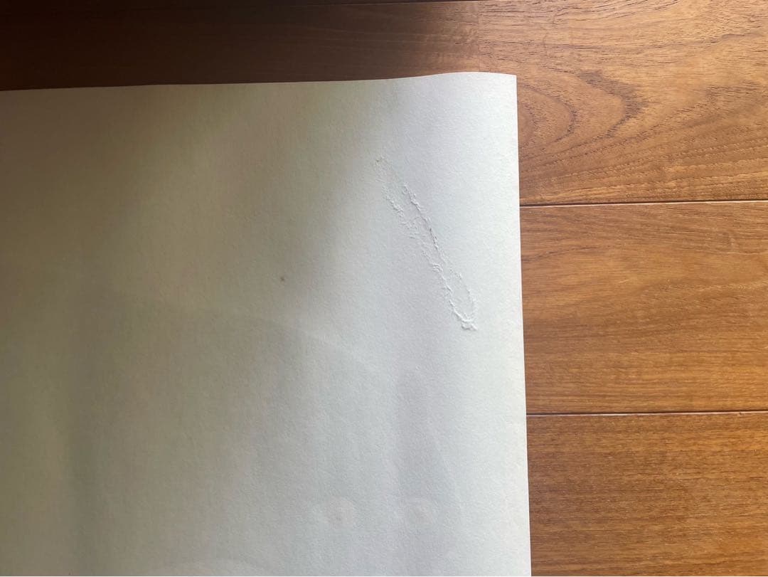 【値下げ中】ダネーゼ ポスターDANESE Quattro la pantera