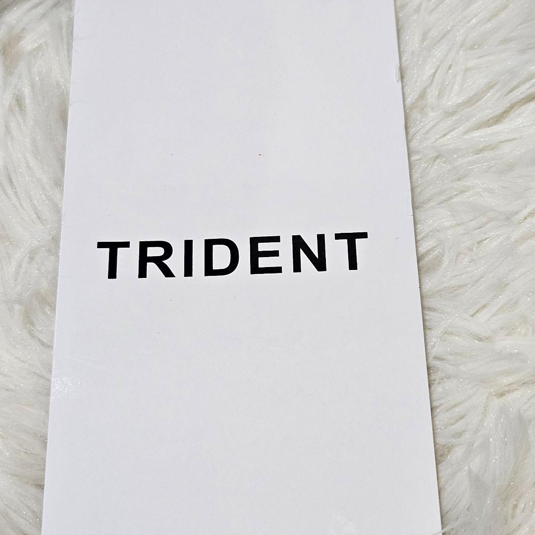 新品✨️スーツケース Mサイズ 66L 静音キャスター TSAロック