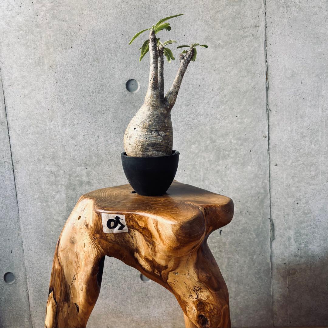 スツール 05⭐︎送料込み⭐︎