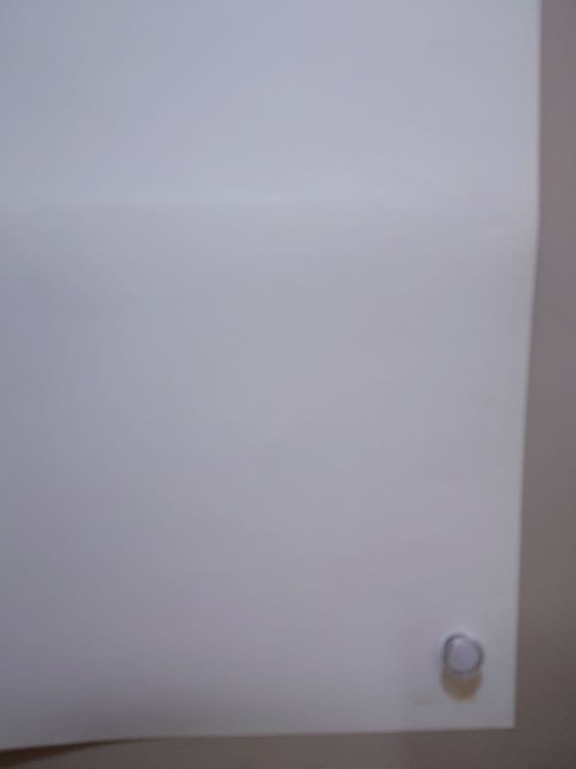 【レア】ONE PIECE　ワンピース　オマツリ男爵と秘密の島　ポスター　東映