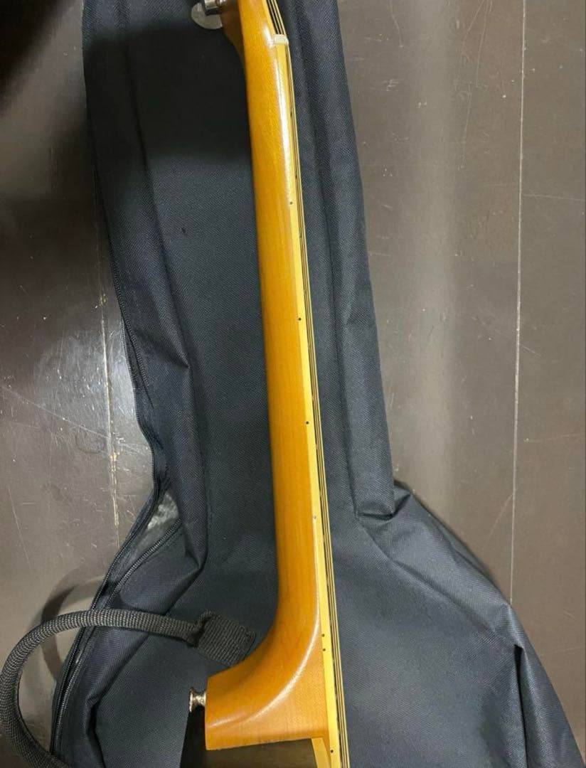 greco エレアコ　アコギ　ギター