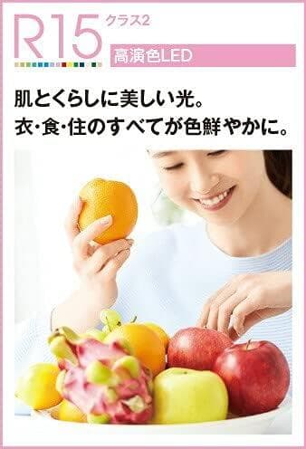 オーデリック LEDキッチンライト FL40W×2灯相当 OL551335NR