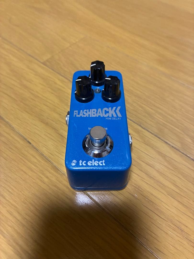 大山 tc electronic FLASHBACK DELY