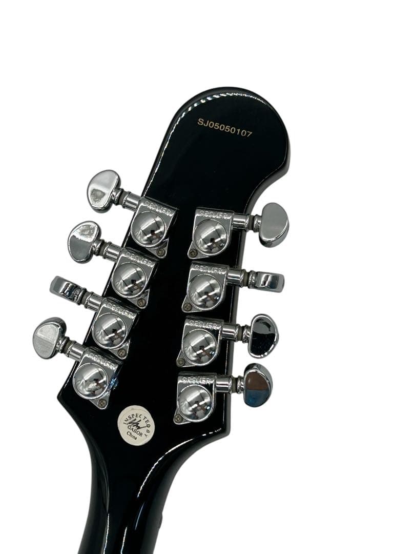 弦楽器 MANDOBIRD VIII