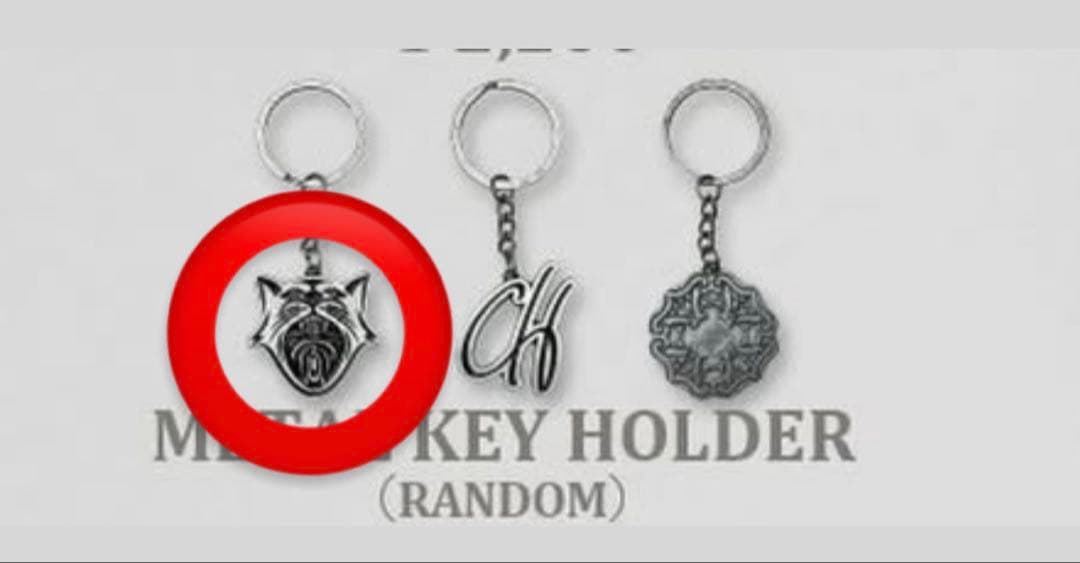 新品未使用 唾奇日本武道館限定CamelliaHito メタルキーホルダー猫