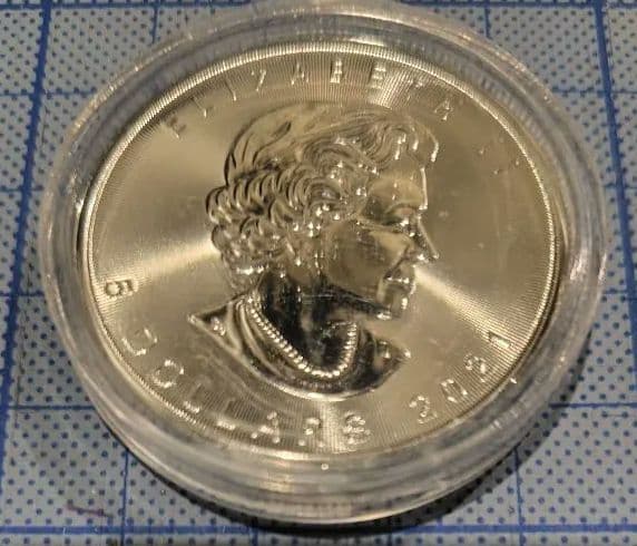 2021年/カナダ メイプルリーフ銀貨 /新品