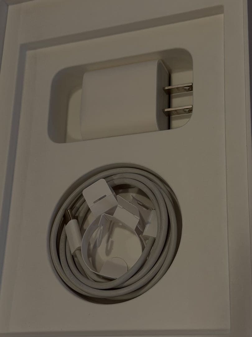 Apple iPad mini 第6世代 シルバー スターライト 本体　WIFi