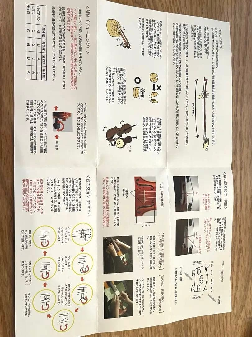 カルロジョルダーノ VS2 4/4バイオリン　ケース　肩当て　ミュート付き