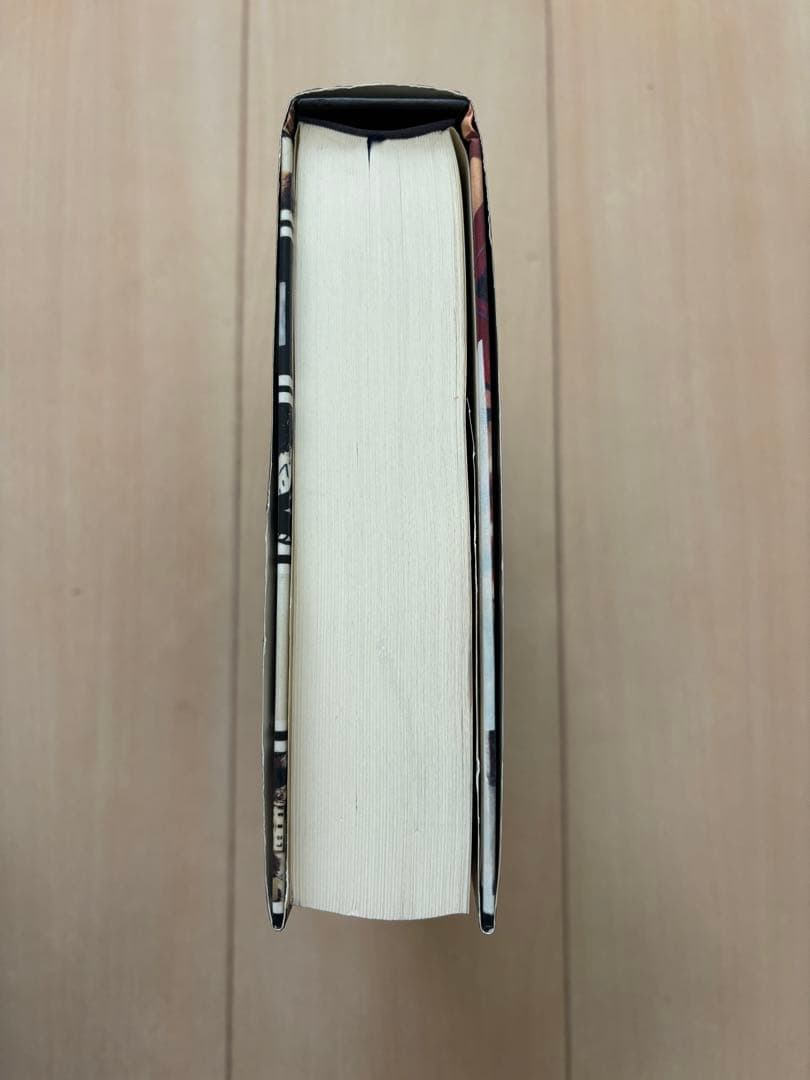 【希少】紙葉の家 House of Leaves マーク・Z・ダニエルスキー著