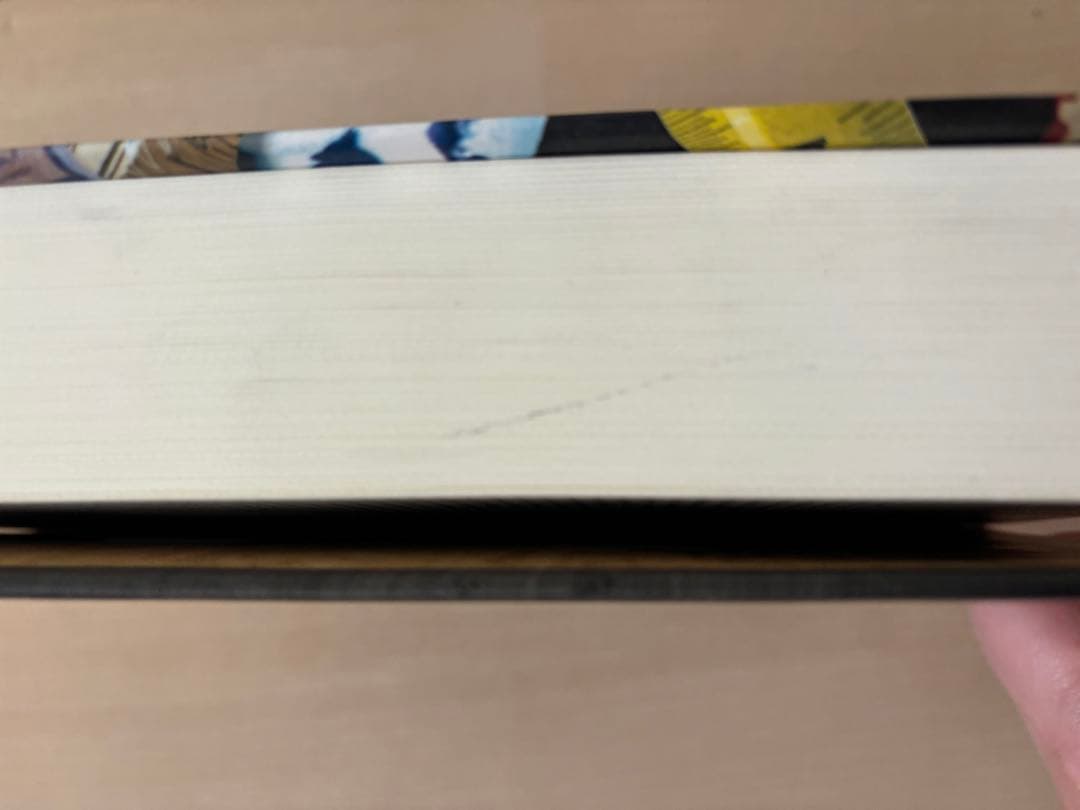 【希少】紙葉の家 House of Leaves マーク・Z・ダニエルスキー著