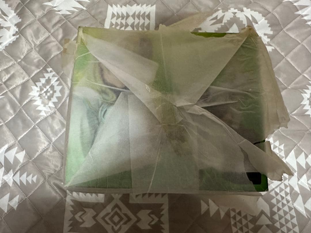 未開封 山下しゅんや フィオナ WING