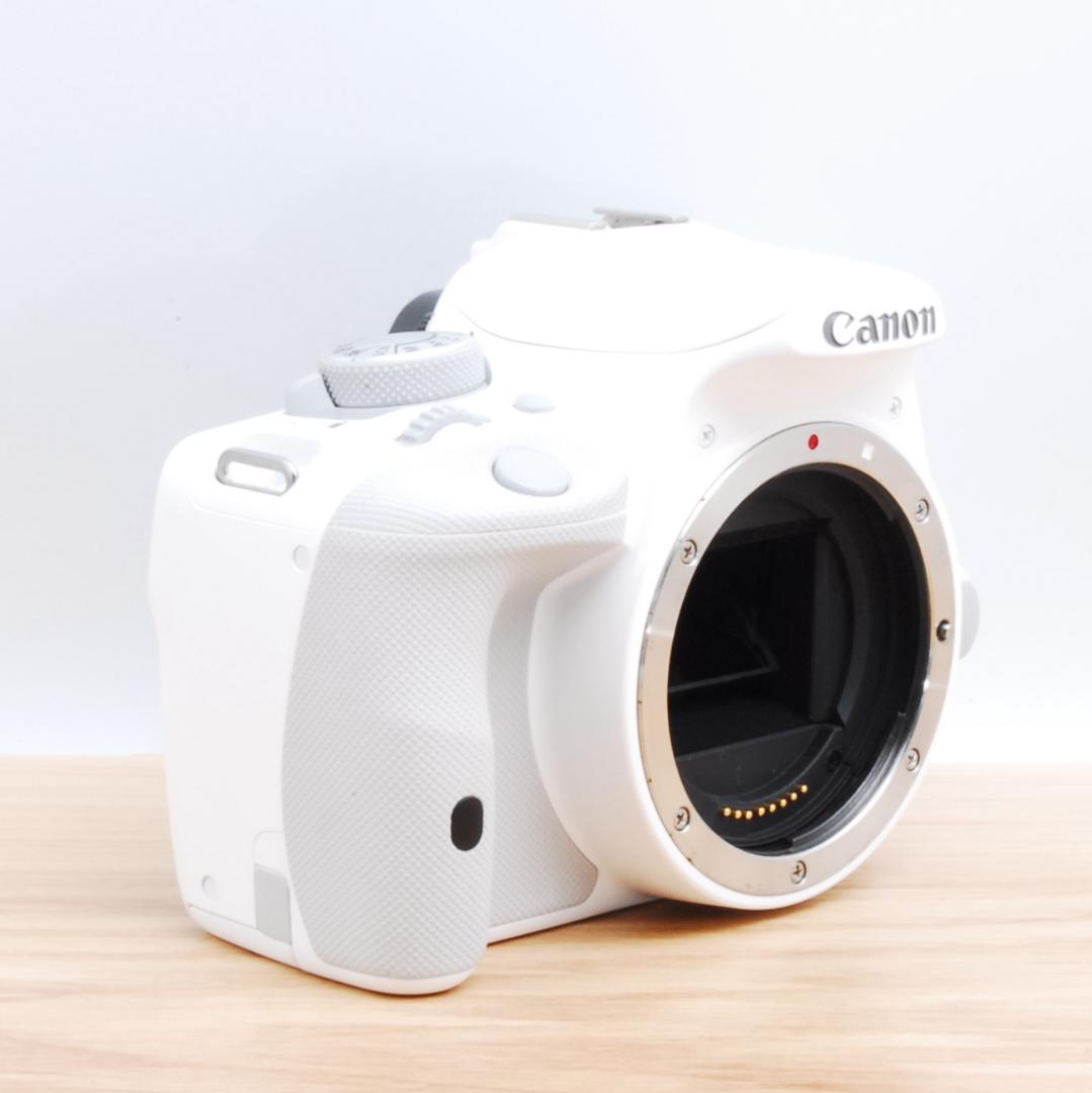 ⭐️スマホ転送OK⭐️人気ホワイト！Canon EOS Kiss X7 ダブルレンズ