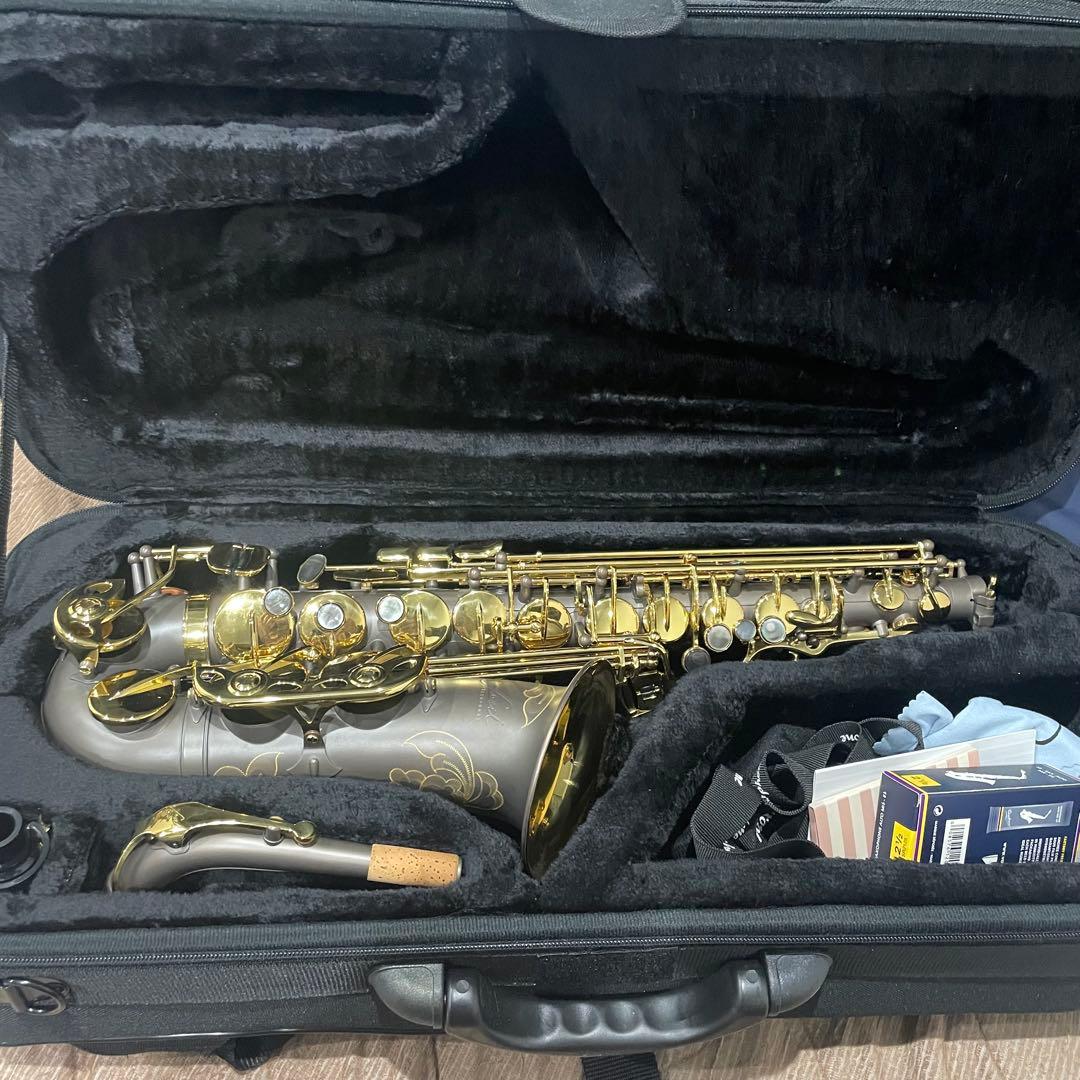 管楽器・吹奏楽器 Festi FAS-3000GML