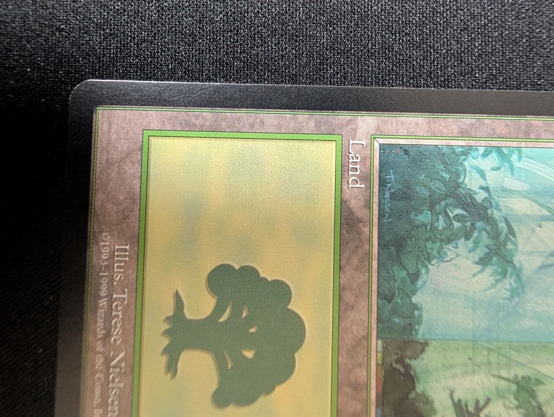 Guruランド グルランド 森