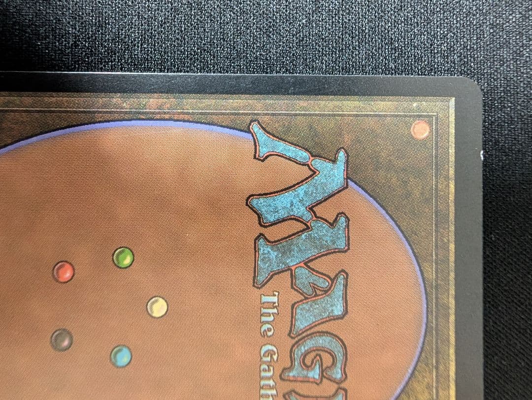 Guruランド グルランド 森