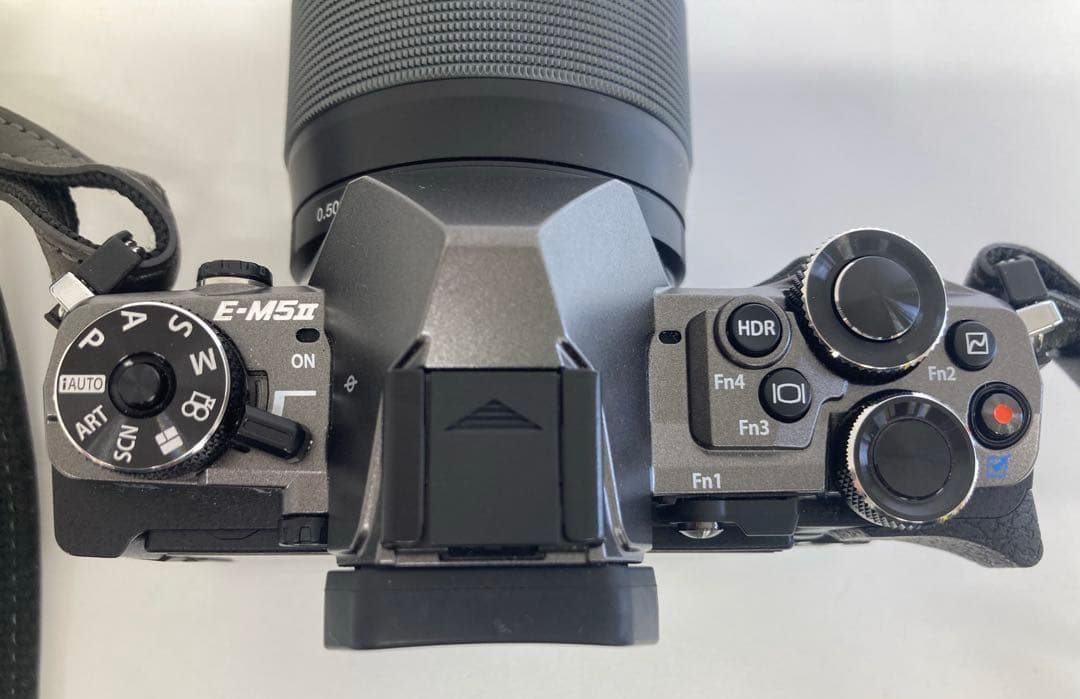 OLYMPUS オリンパスOM-D E-M5II ミラーレス一眼カメラ ブラック