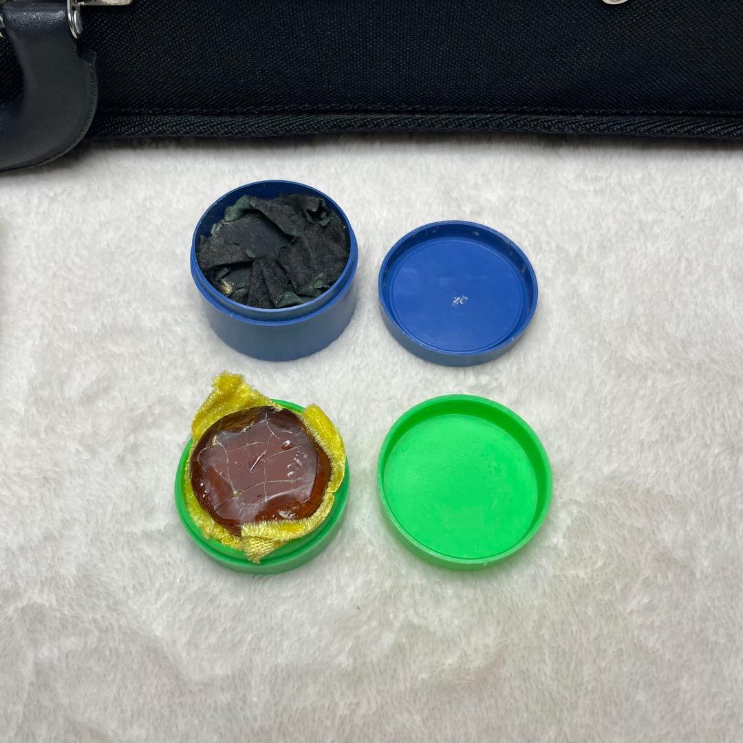 Carlo Giordano カルロジョルダーノ EV-202 エレキバイオリン