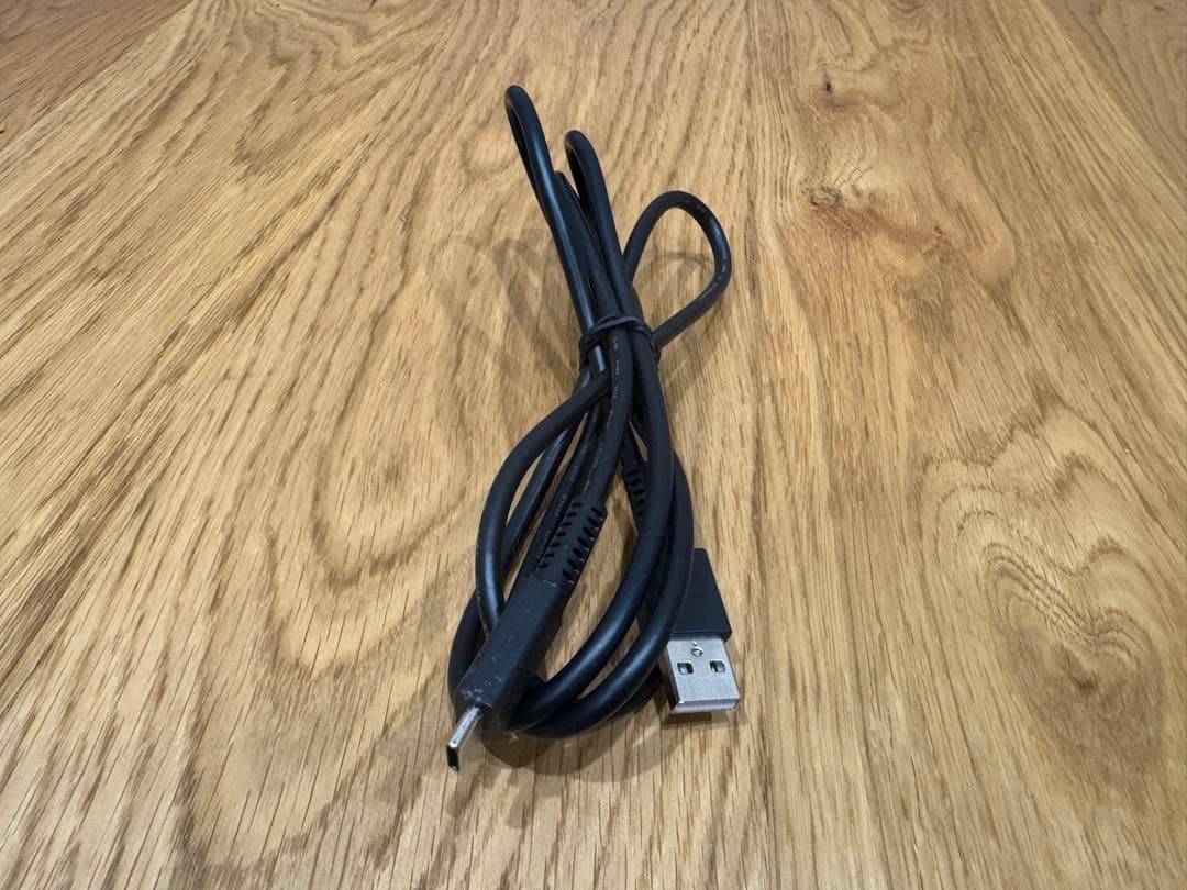 Nintendo Switch どうぶつの森デザイン 本体（ケースつき）