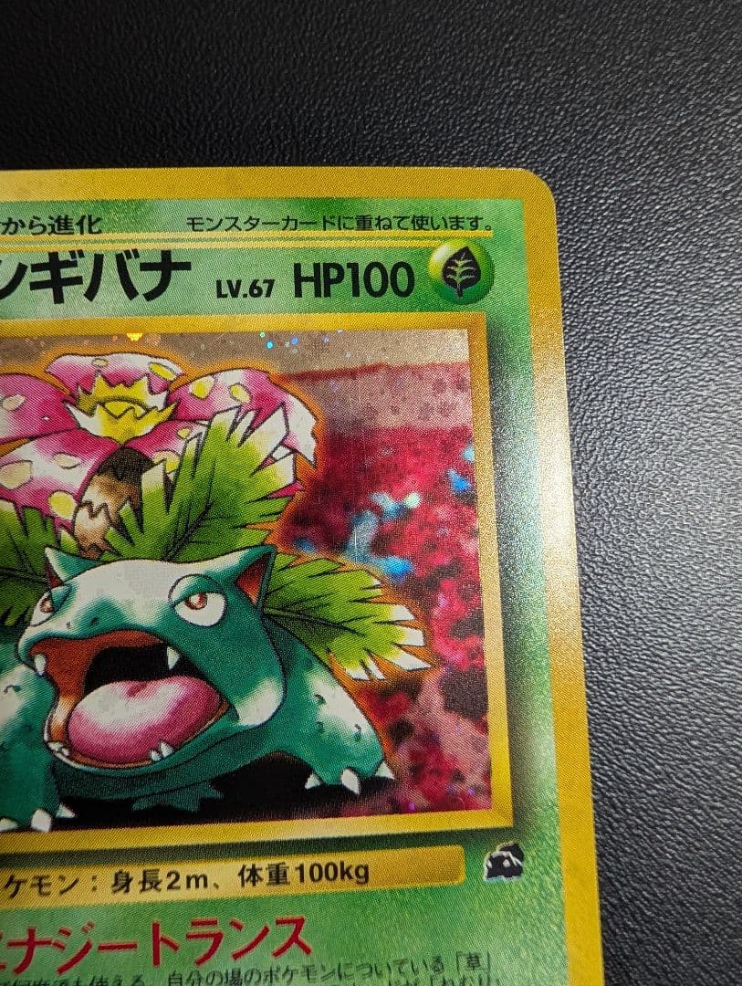 フシギバナ イントロパック 旧裏