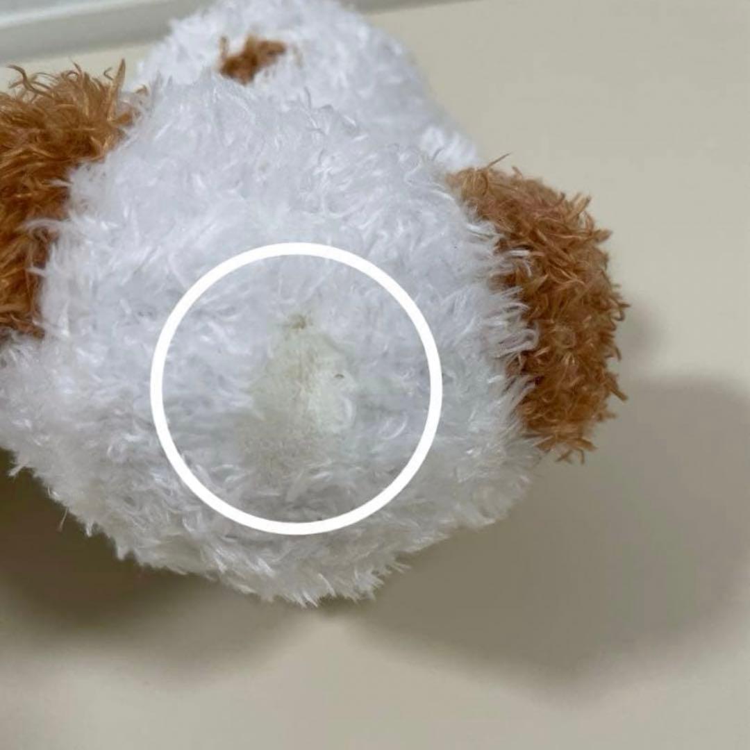 亘　アンディ　ぬいぐるみ