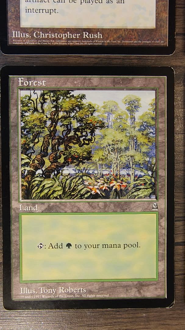 大判カード Black Lotus Serra Angel等 合計６枚 MTG