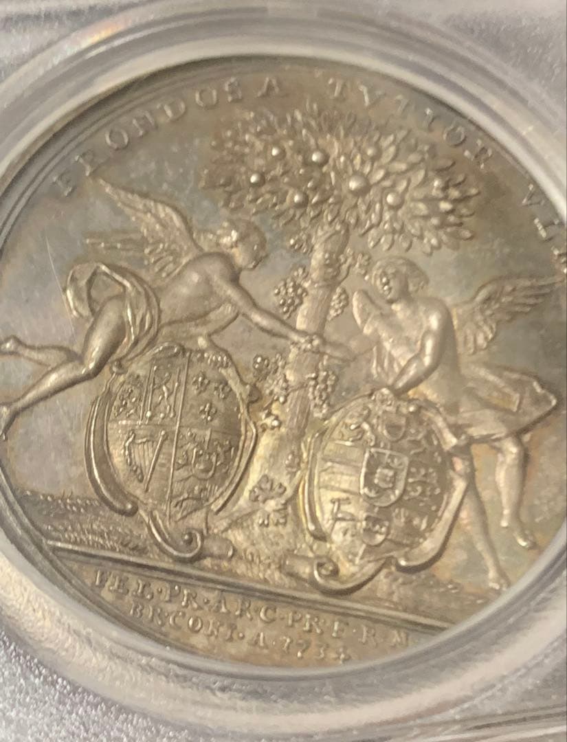 準TOP POP❗️価格交渉可❗️ウィレム4世成婚記念　シルバーメダル