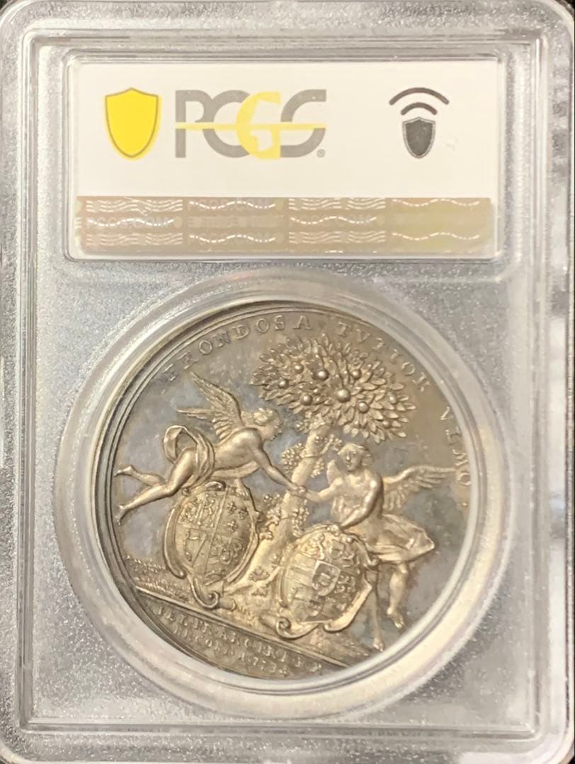 準TOP POP❗️価格交渉可❗️ウィレム4世成婚記念　シルバーメダル