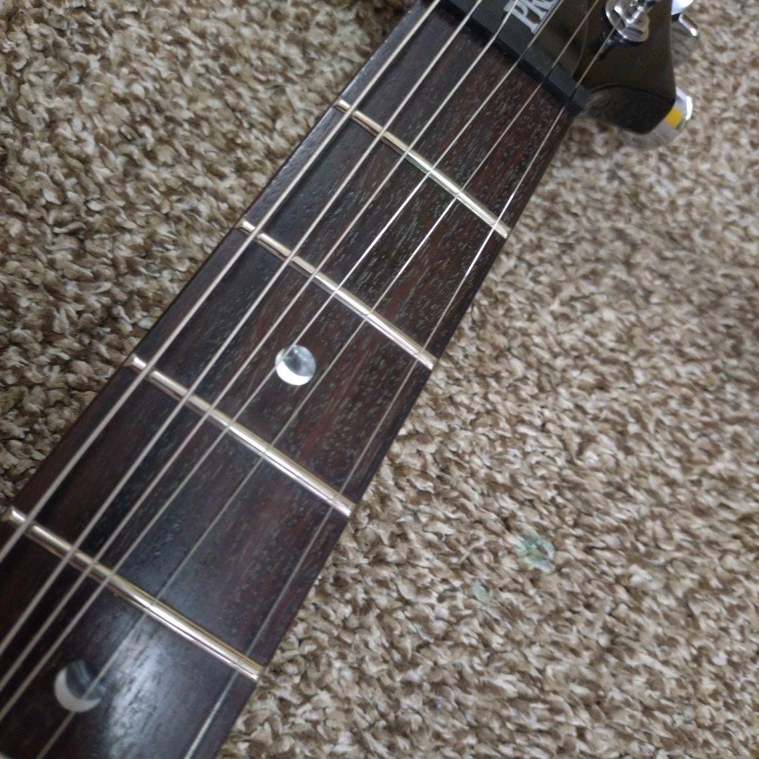 PRS SE Custom22 semi hollow？シンライン