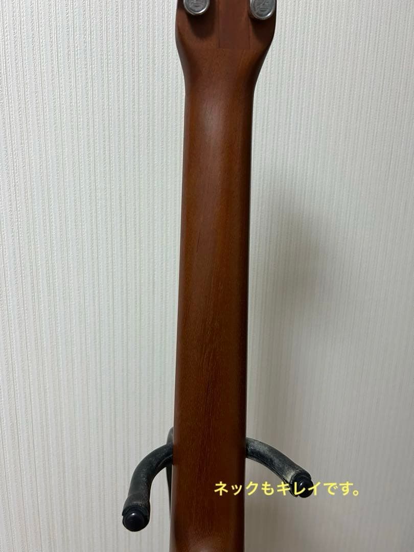 シーガル M6 スプルース　アコースティックギター