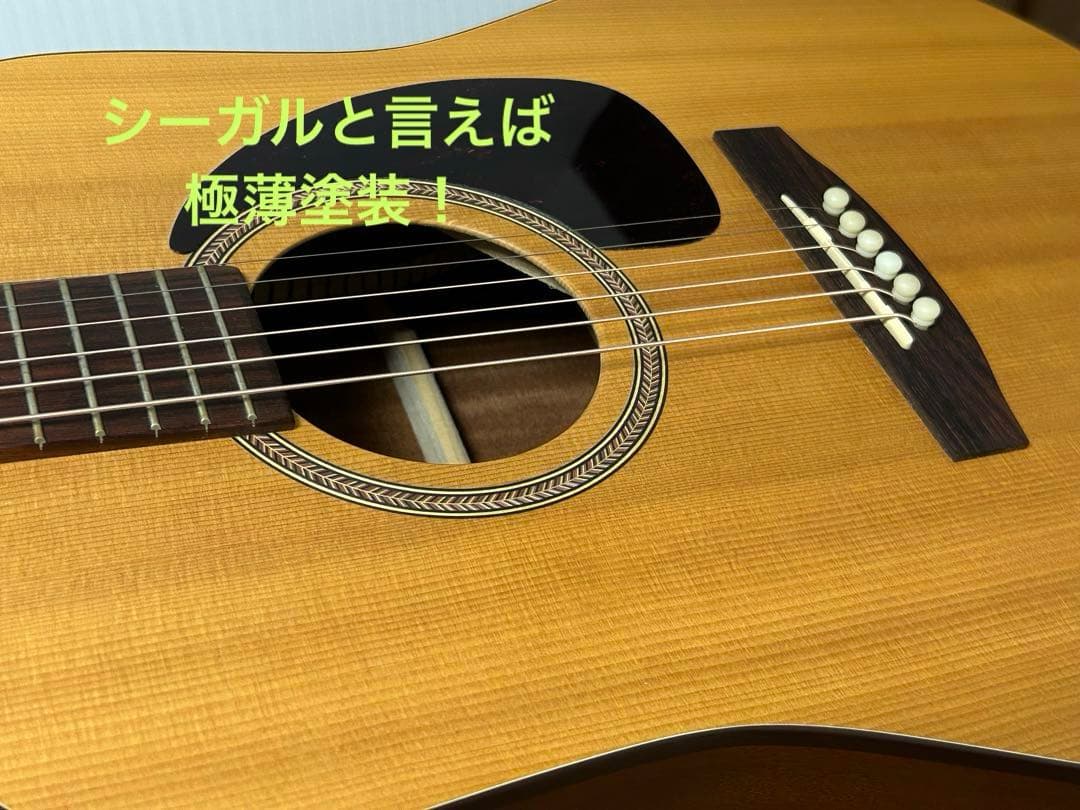 シーガル M6 スプルース　アコースティックギター