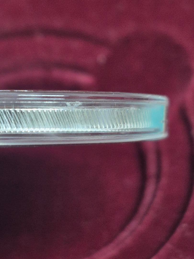 な*お様 中華人民共和国 パンダ硬貨 10元 2007年