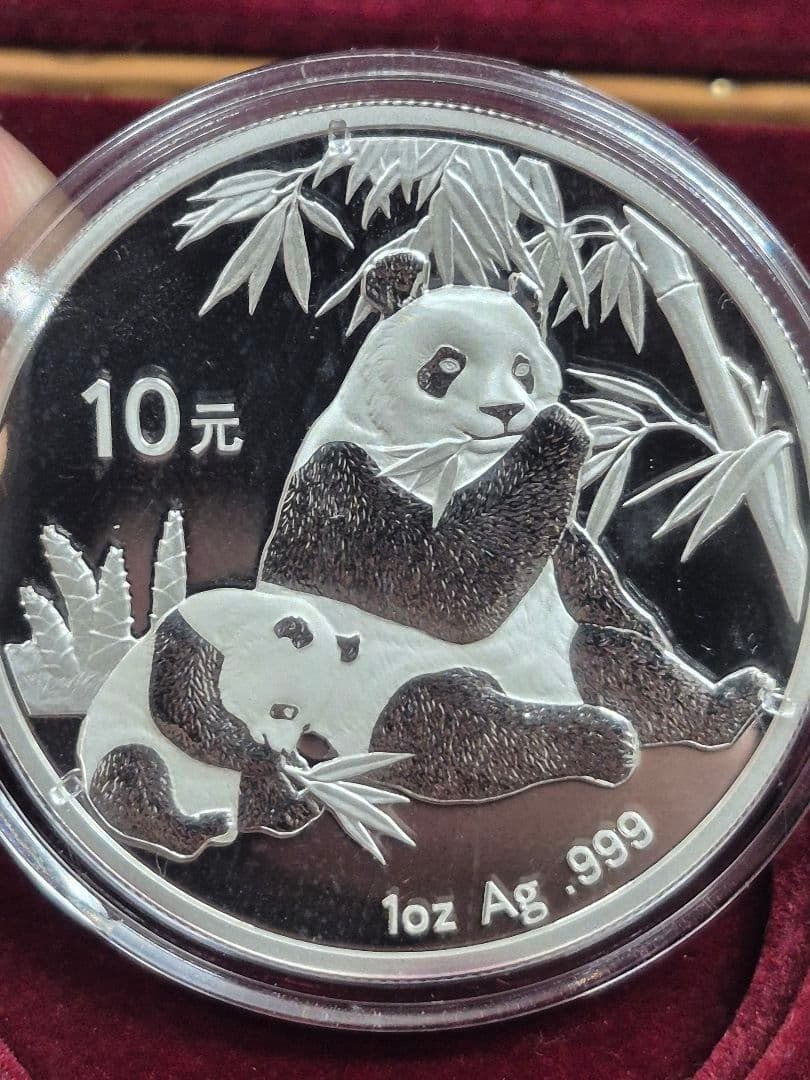 な*お様 中華人民共和国 パンダ硬貨 10元 2007年